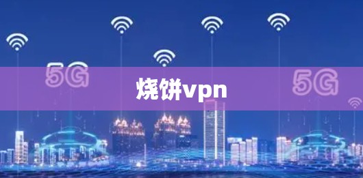 烧饼vpn